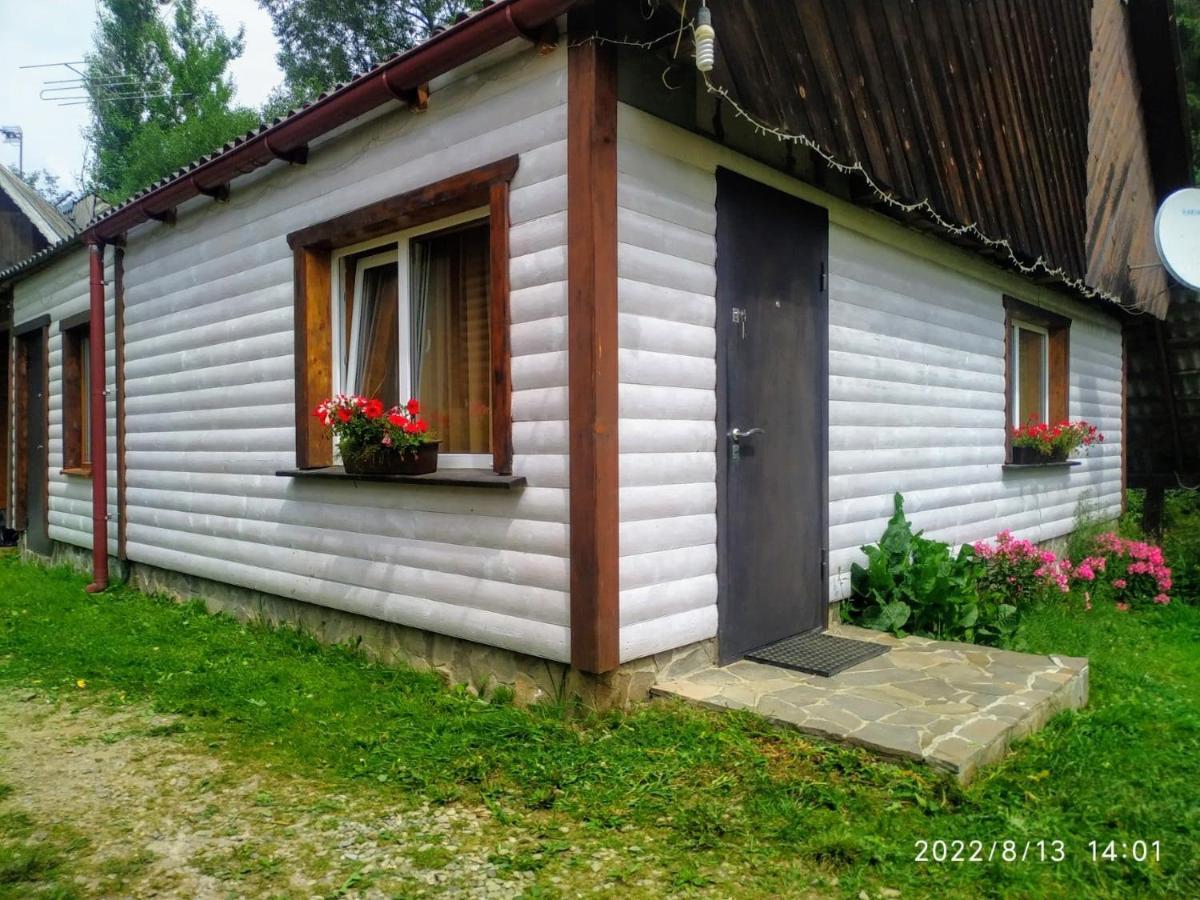 Відпочинковий Комплекс "Alpha Plus" Yablunytsya Extérieur photo